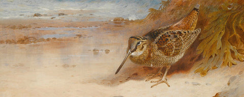 Archibald Thorburn