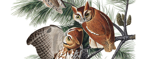 John James Audubon