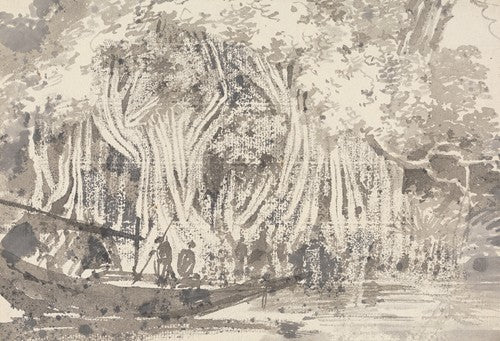 A Pipul Tree – MuseumPrints
