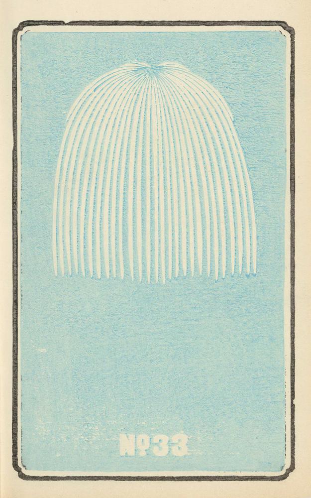 Illustrated Catalogue of Daylight Bomb Shells No. 33 (1883) – MuseumPrints