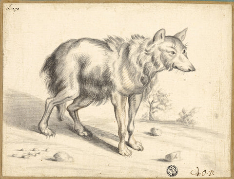 Huber, Wolf